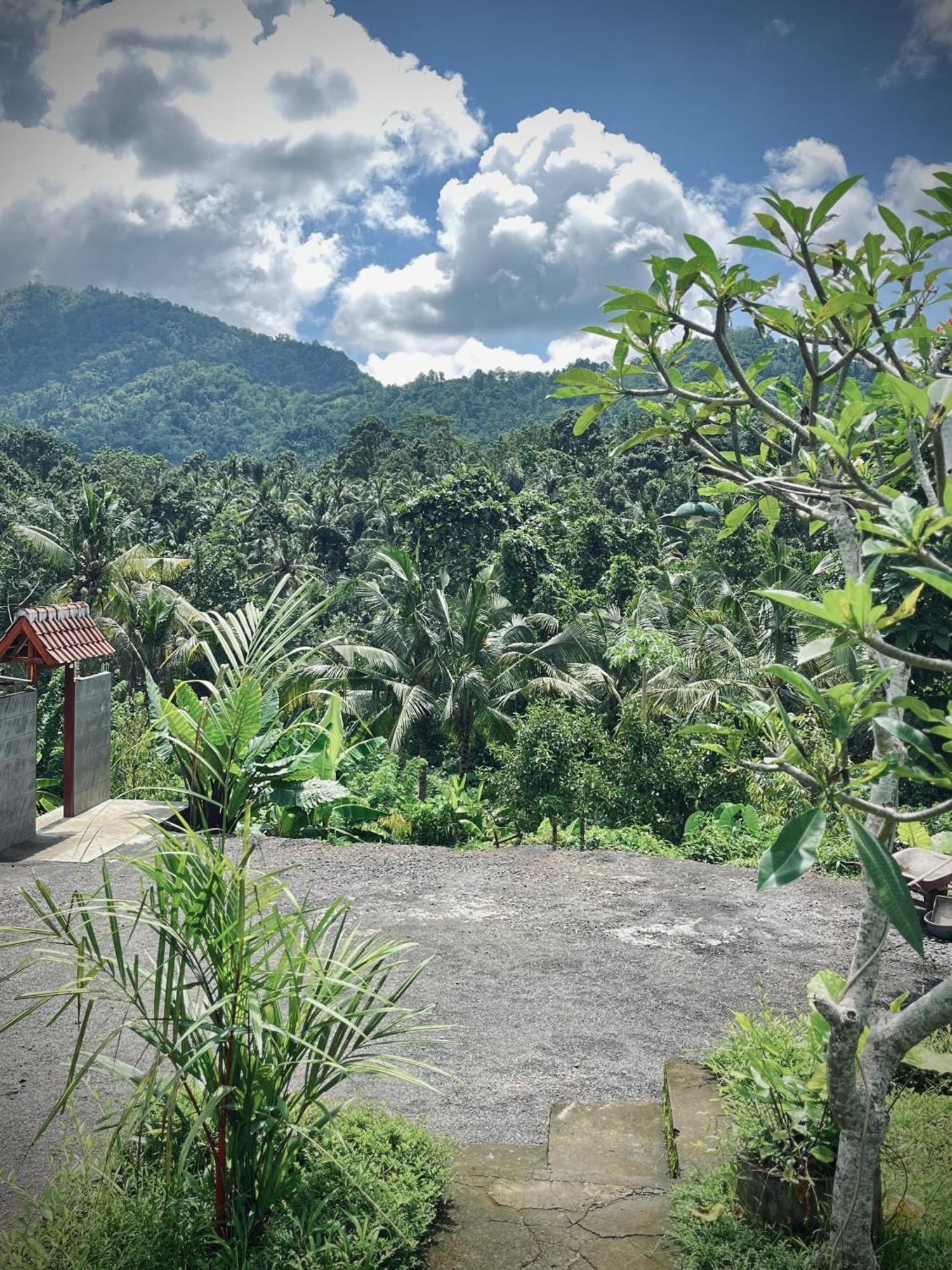 Papahan Bali Sidemen  Buitenkant foto